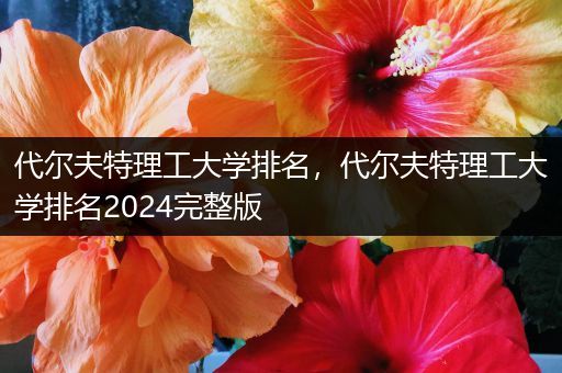 代尔夫特理工大学排名，代尔夫特理工大学排名2024完整版