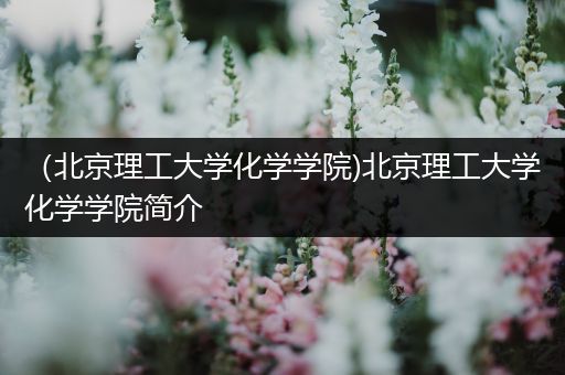 （北京理工大学化学学院)北京理工大学化学学院简介