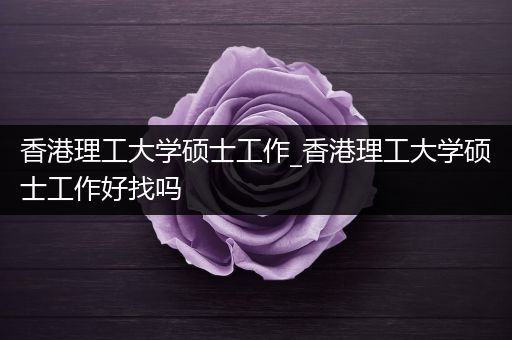 香港理工大学硕士工作_香港理工大学硕士工作好找吗