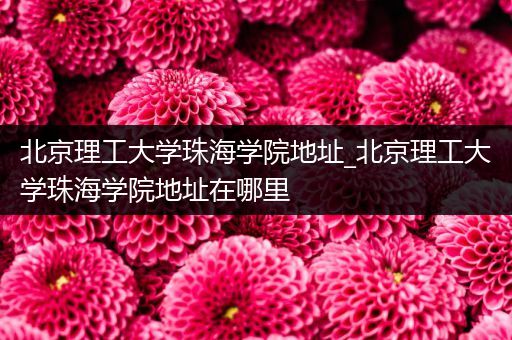 北京理工大学珠海学院地址_北京理工大学珠海学院地址在哪里