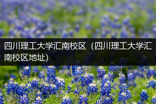 四川理工大学汇南校区（四川理工大学汇南校区地址）