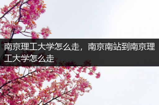 南京理工大学怎么走，南京南站到南京理工大学怎么走