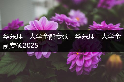 华东理工大学金融专硕，华东理工大学金融专硕2025