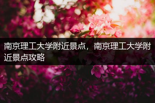 南京理工大学附近景点，南京理工大学附近景点攻略
