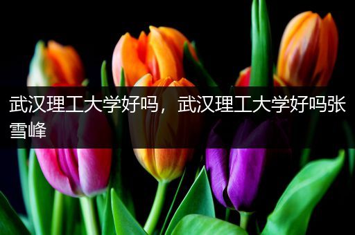 武汉理工大学好吗，武汉理工大学好吗张雪峰