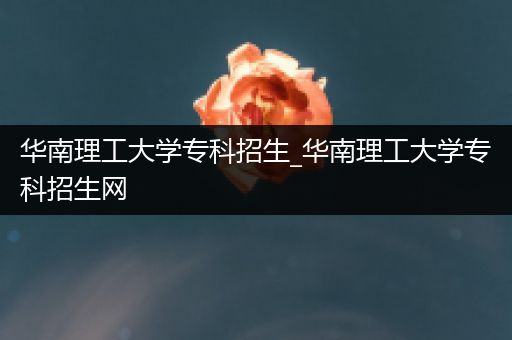 华南理工大学专科招生_华南理工大学专科招生网