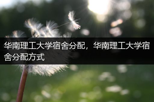 华南理工大学宿舍分配，华南理工大学宿舍分配方式