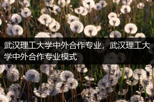 武汉理工大学中外合作专业，武汉理工大学中外合作专业模式