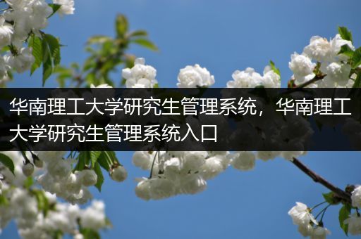 华南理工大学研究生管理系统，华南理工大学研究生管理系统入口