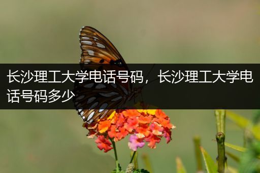 长沙理工大学电话号码，长沙理工大学电话号码多少