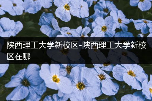陕西理工大学新校区-陕西理工大学新校区在哪