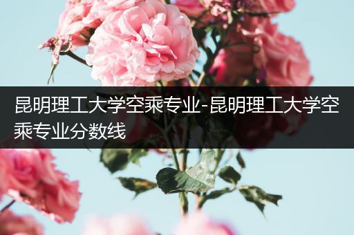 昆明理工大学空乘专业-昆明理工大学空乘专业分数线