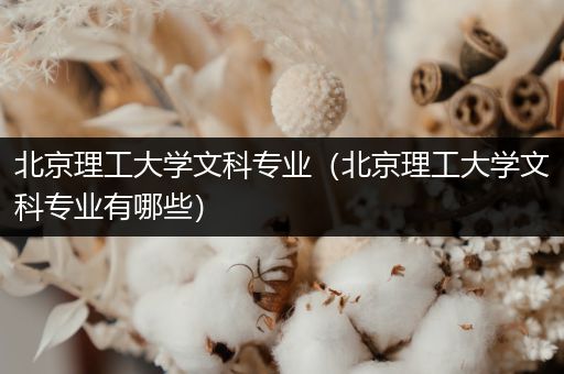 北京理工大学文科专业（北京理工大学文科专业有哪些）