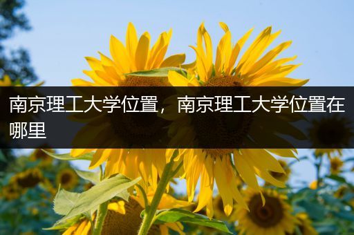 南京理工大学位置，南京理工大学位置在哪里