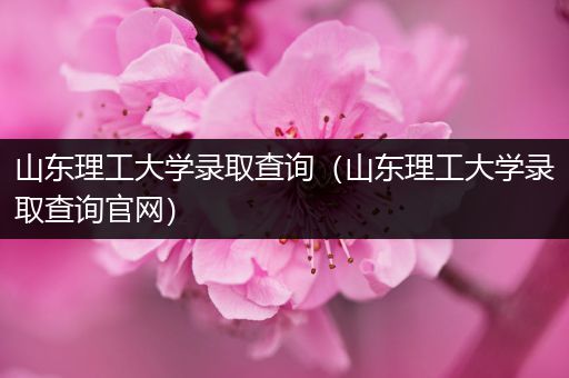 山东理工大学录取查询（山东理工大学录取查询官网）