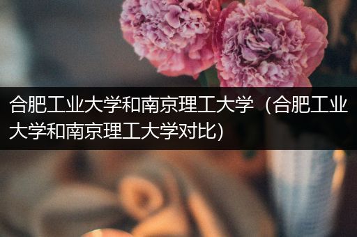 合肥工业大学和南京理工大学（合肥工业大学和南京理工大学对比）
