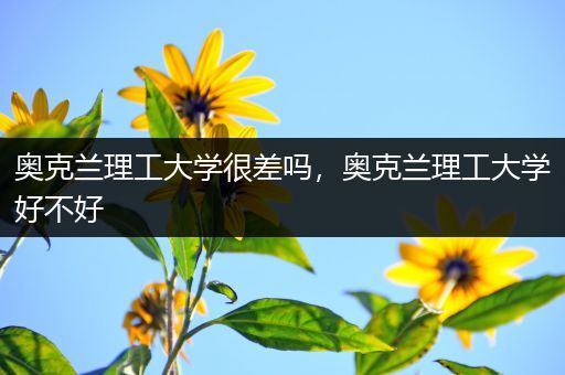 奥克兰理工大学很差吗，奥克兰理工大学好不好