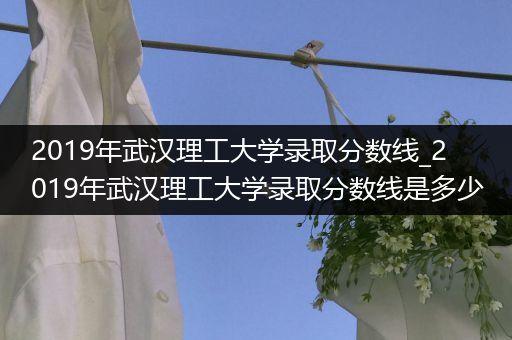 2019年武汉理工大学录取分数线_2019年武汉理工大学录取分数线是多少