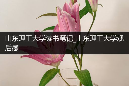 山东理工大学读书笔记_山东理工大学观后感