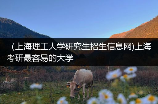 （上海理工大学研究生招生信息网)上海考研最容易的大学