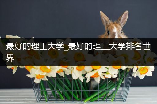 最好的理工大学_最好的理工大学排名世界
