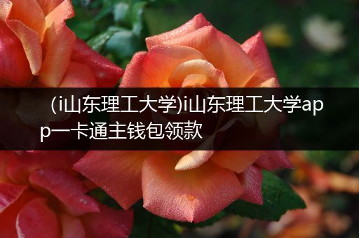 （i山东理工大学)i山东理工大学app一卡通主钱包领款