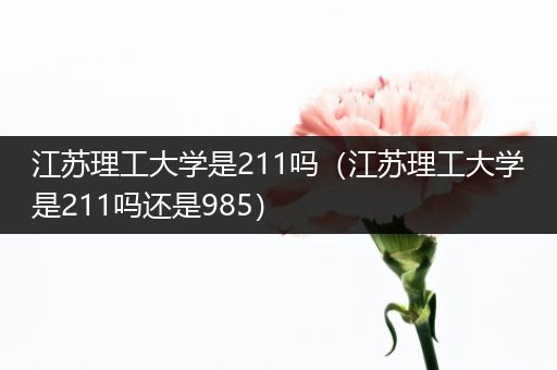 江苏理工大学是211吗（江苏理工大学是211吗还是985）