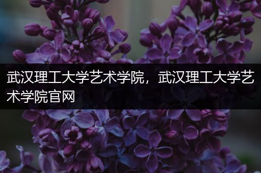 武汉理工大学艺术学院，武汉理工大学艺术学院官网