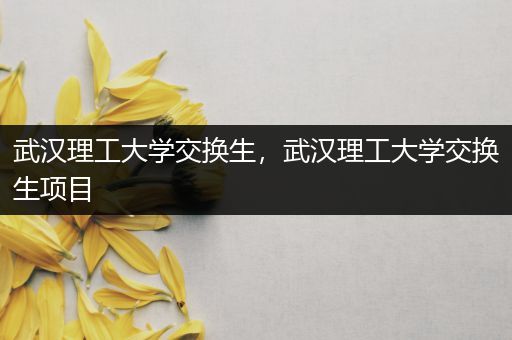武汉理工大学交换生，武汉理工大学交换生项目