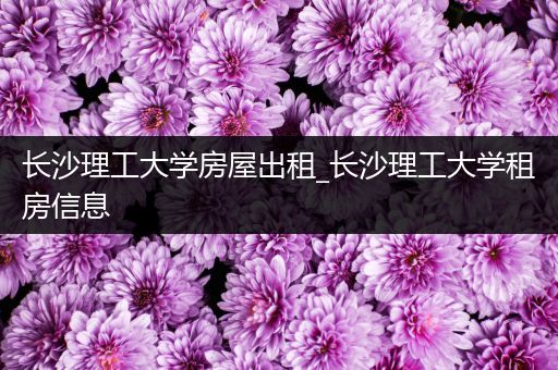 长沙理工大学房屋出租_长沙理工大学租房信息