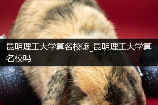 昆明理工大学算名校嘛_昆明理工大学算名校吗