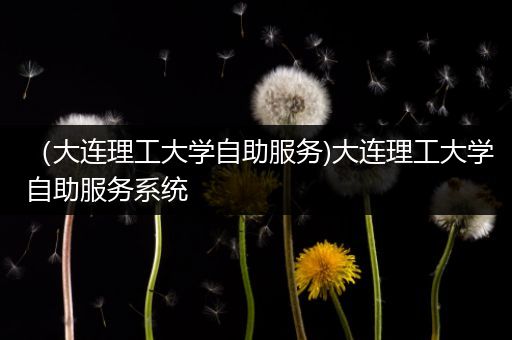 （大连理工大学自助服务)大连理工大学自助服务系统