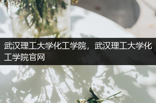 武汉理工大学化工学院，武汉理工大学化工学院官网