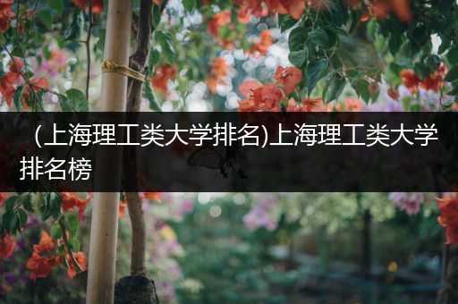（上海理工类大学排名)上海理工类大学排名榜