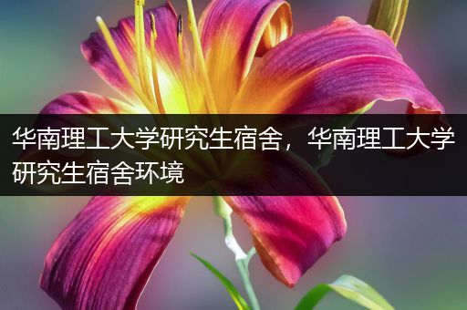 华南理工大学研究生宿舍，华南理工大学研究生宿舍环境