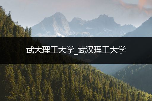 武大理工大学_武汉理工大学