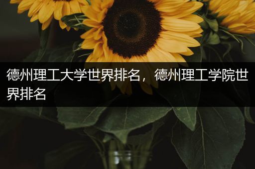 德州理工大学世界排名，德州理工学院世界排名