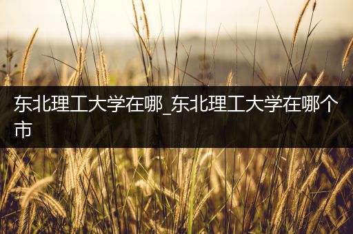 东北理工大学在哪_东北理工大学在哪个市