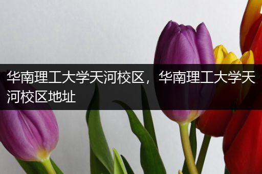 华南理工大学天河校区，华南理工大学天河校区地址
