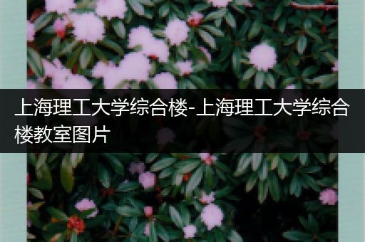 上海理工大学综合楼-上海理工大学综合楼教室图片