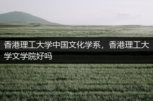 香港理工大学中国文化学系，香港理工大学文学院好吗