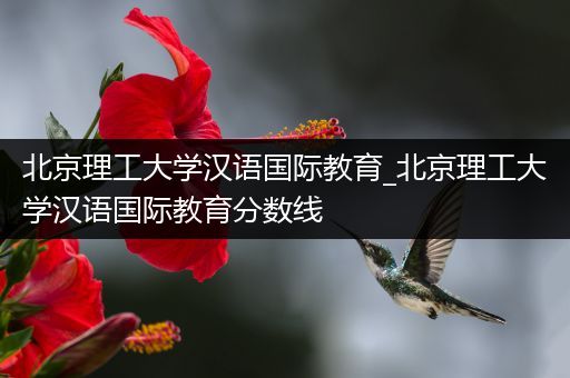 北京理工大学汉语国际教育_北京理工大学汉语国际教育分数线