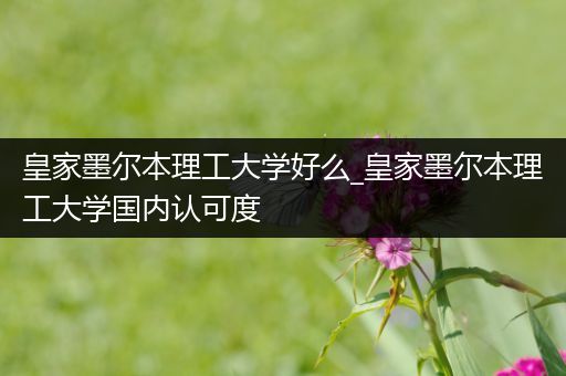 皇家墨尔本理工大学好么_皇家墨尔本理工大学国内认可度