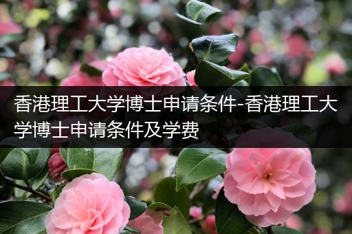 香港理工大学博士申请条件-香港理工大学博士申请条件及学费