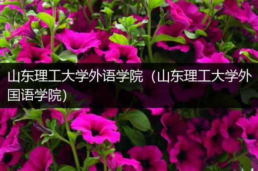 山东理工大学外语学院（山东理工大学外国语学院）