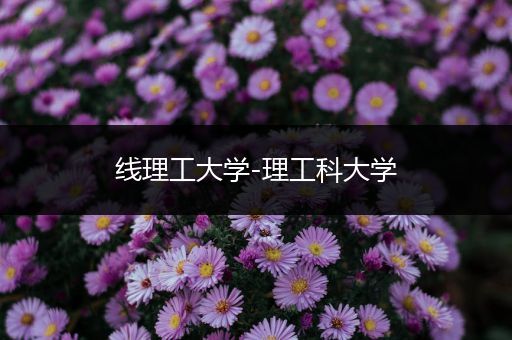 线理工大学-理工科大学