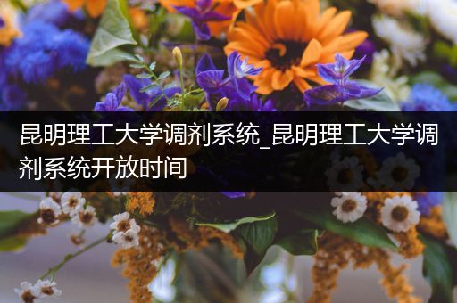 昆明理工大学调剂系统_昆明理工大学调剂系统开放时间