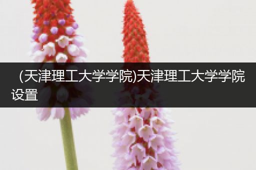 （天津理工大学学院)天津理工大学学院设置