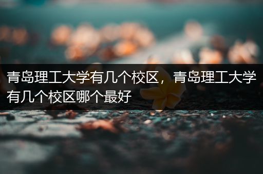青岛理工大学有几个校区，青岛理工大学有几个校区哪个最好