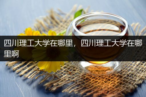 四川理工大学在哪里，四川理工大学在哪里啊
